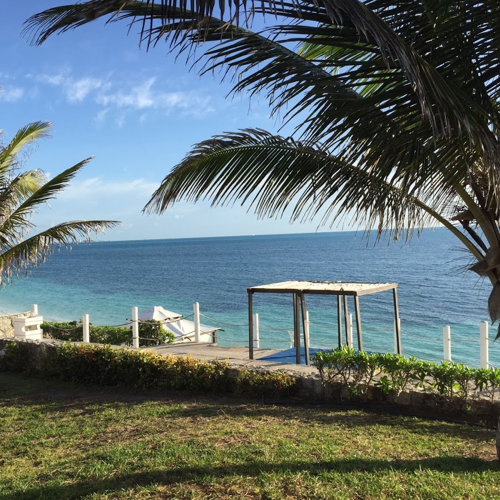 Meet your Posher, Connie